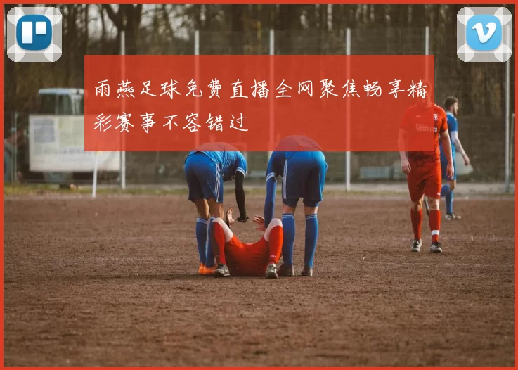 雨燕足球免费直播全网聚焦畅享精彩赛事不容错过