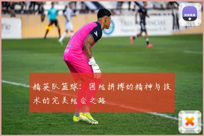 精英队篮球：团结拼搏的精神与技术的完美结合之路